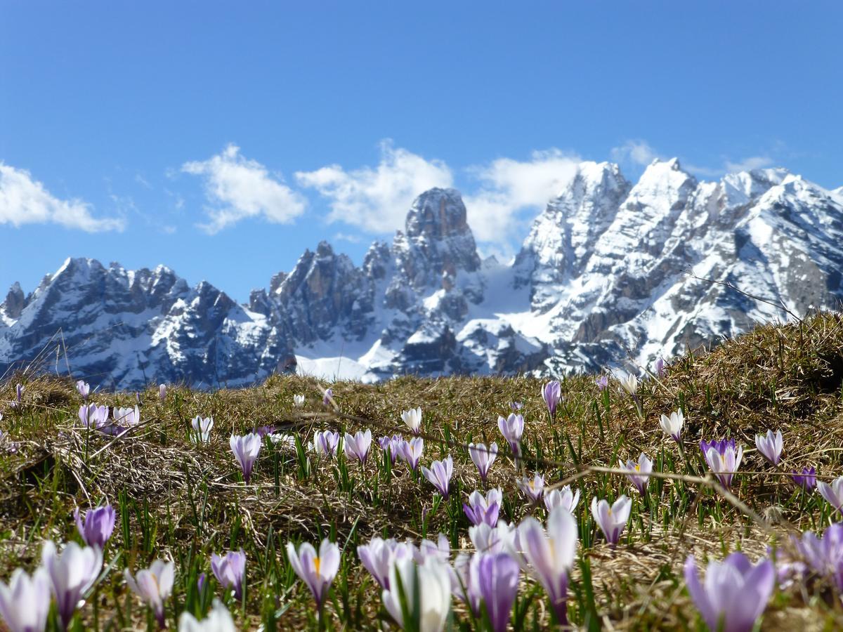 Hotel Edelweiss Брайес  Экстерьер фото